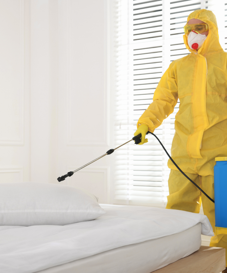 Professional Pest Control Team in Beaumont